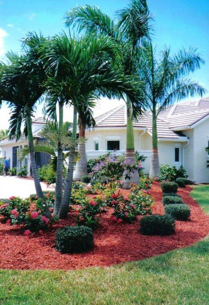 Sylvester Date Palm Landscape Install