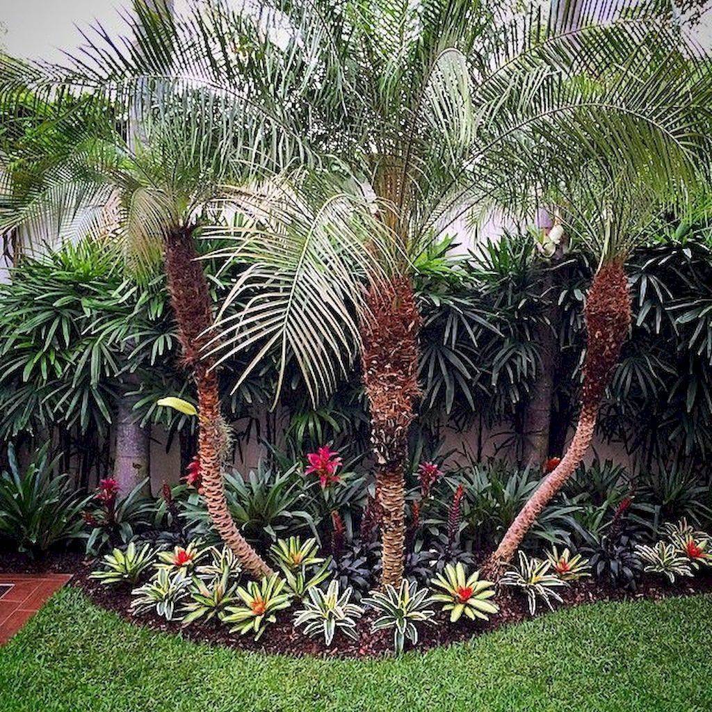Sylvester Date Palm Landscape Install