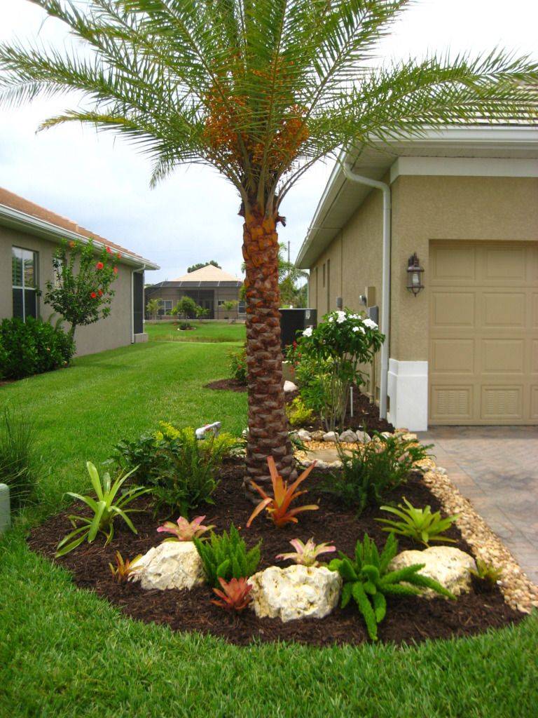 Tropical Landscape Patio Coastal Informative Palm Tree Landscaping