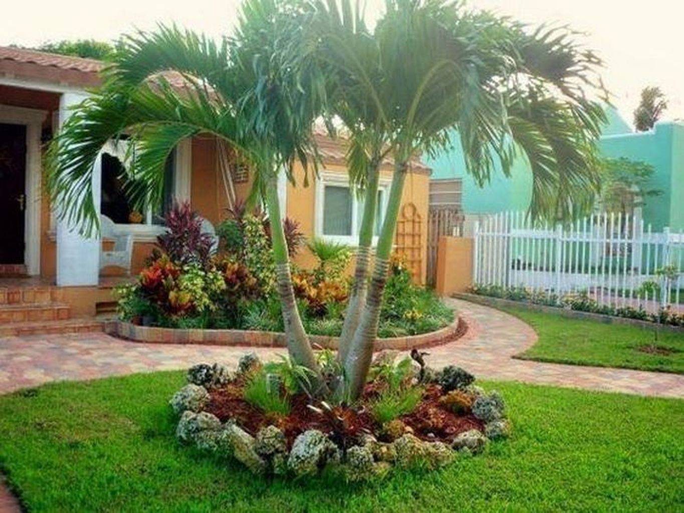 Tropical Planting Cycads