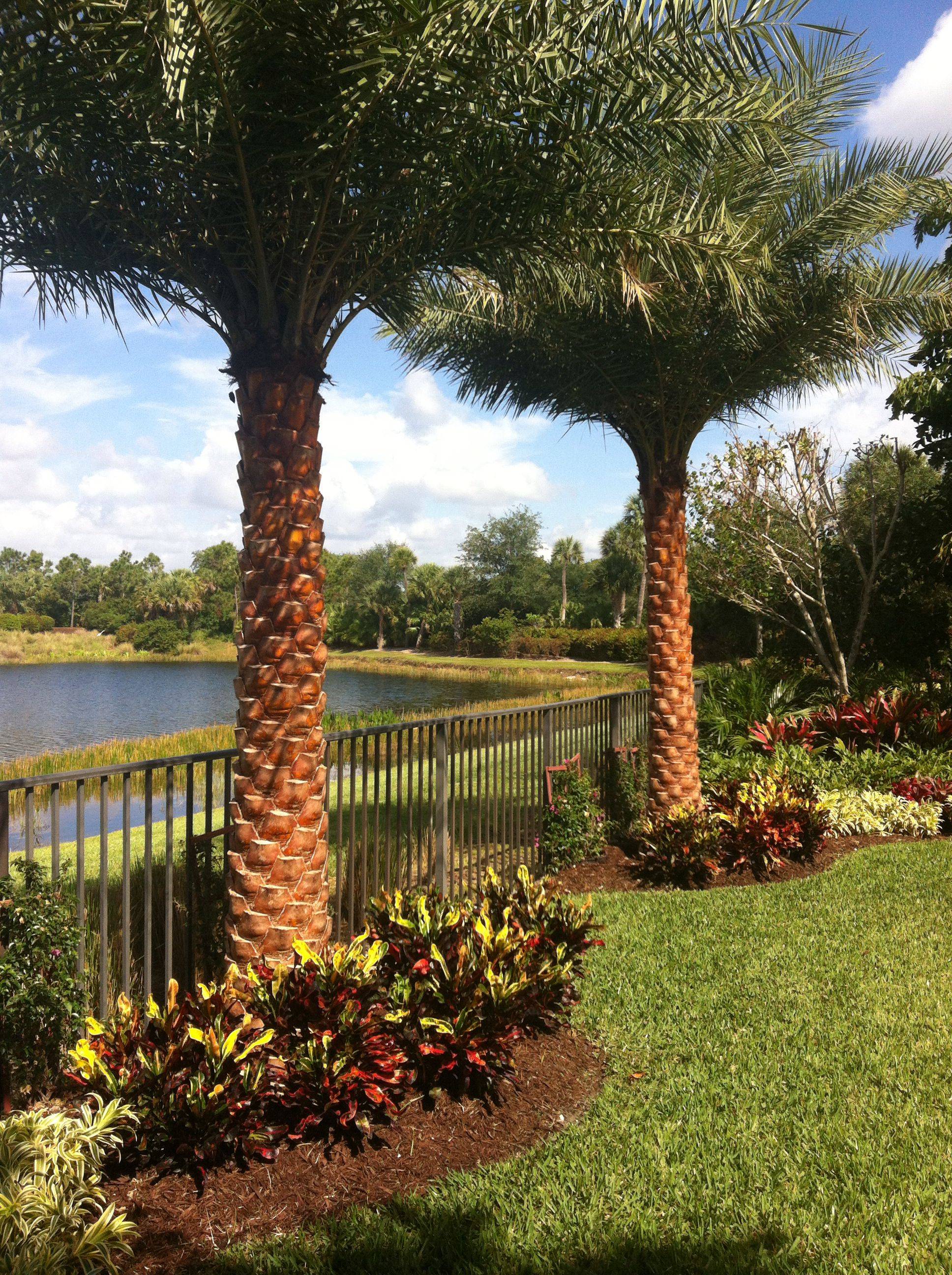 Wonderfultropicalhomedesignideasinlandscapetropicaldesignideas