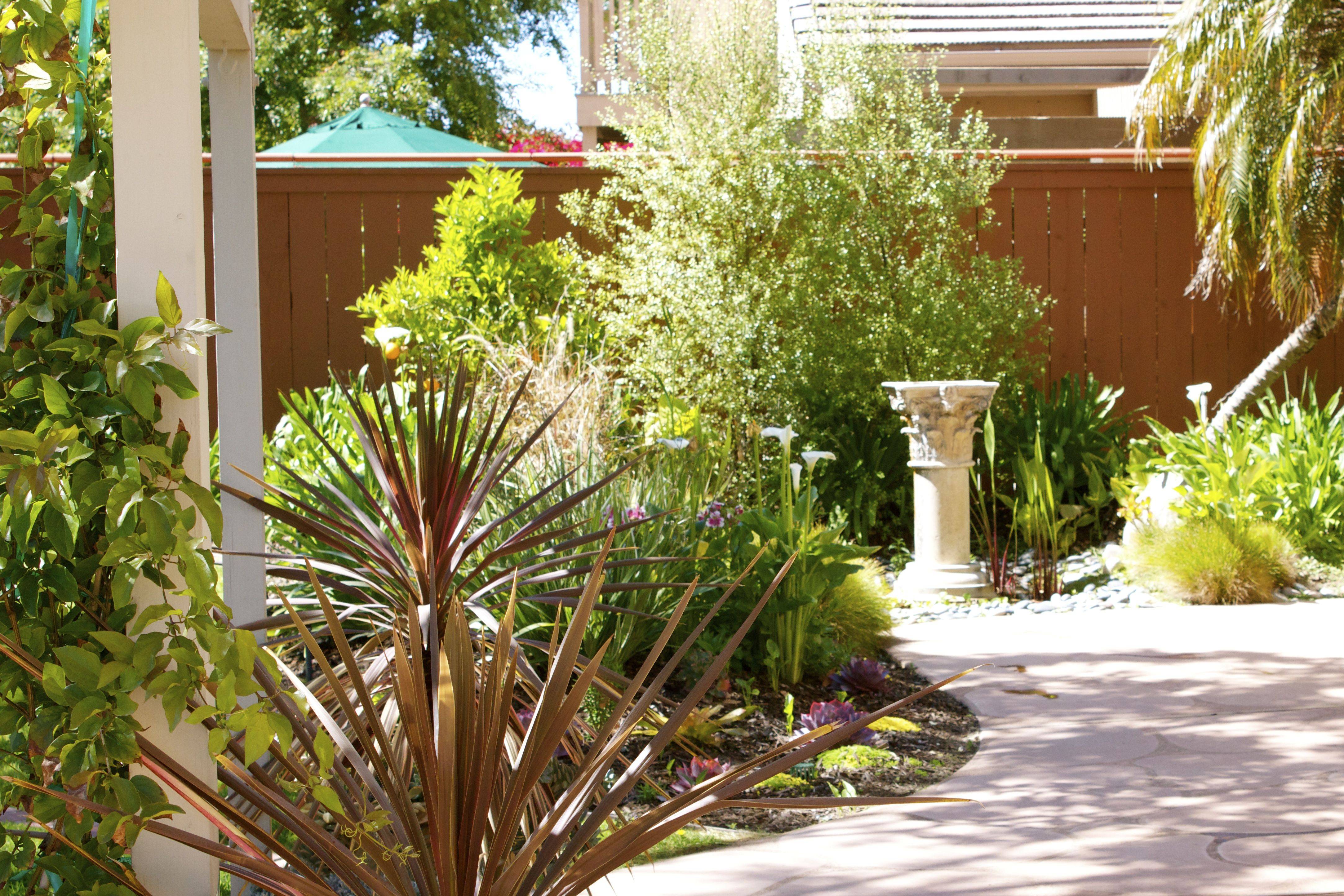 Gorgeous Tropical Garden Plants Ideas