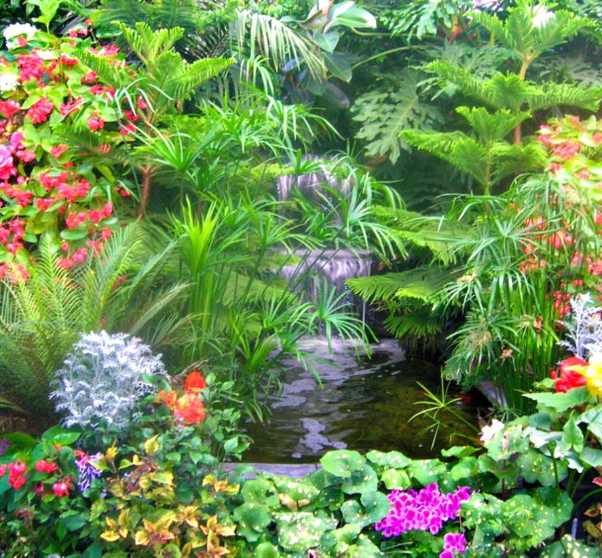 Bali Garden Makeover Bali Garden
