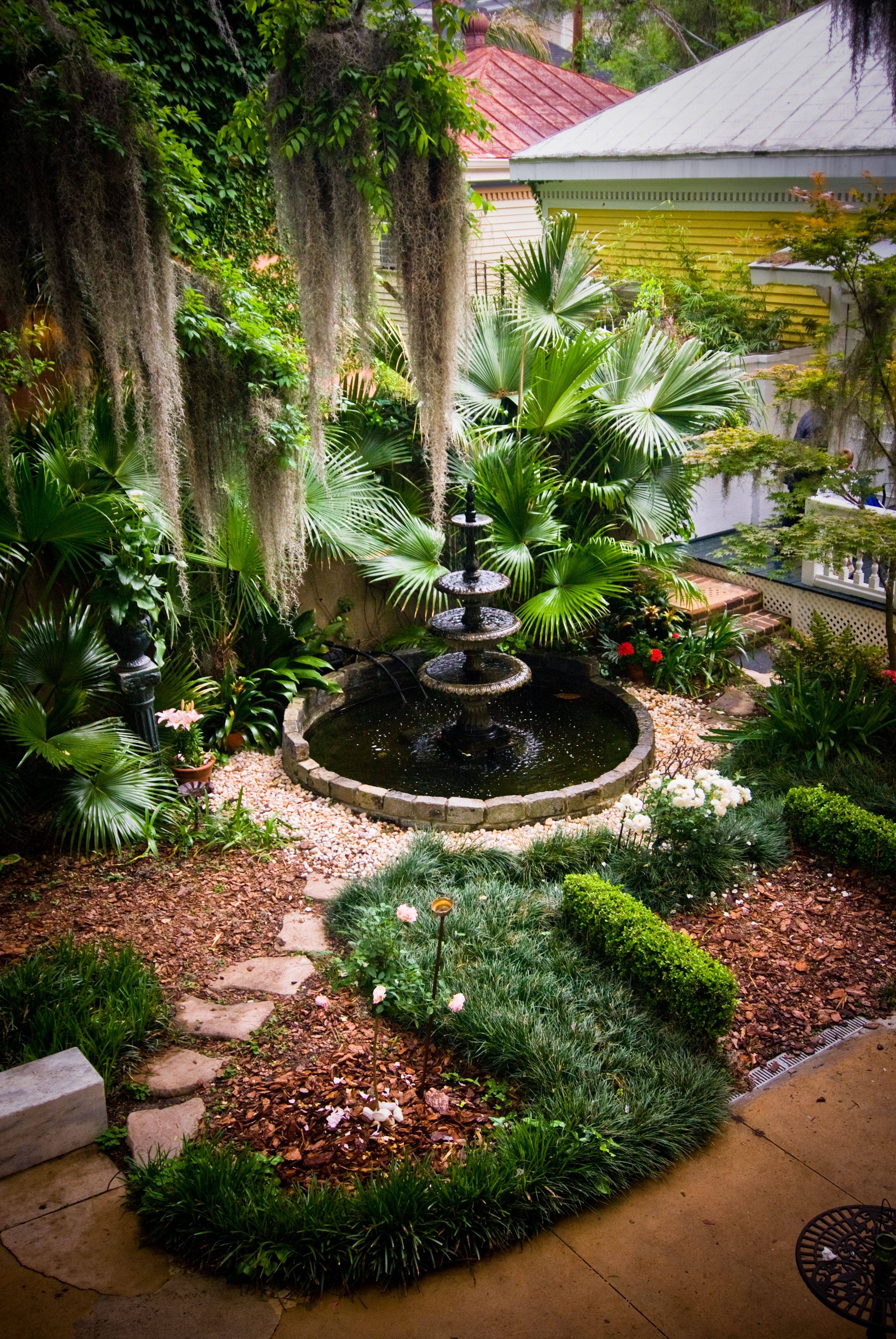 Tropical Garden Ideas