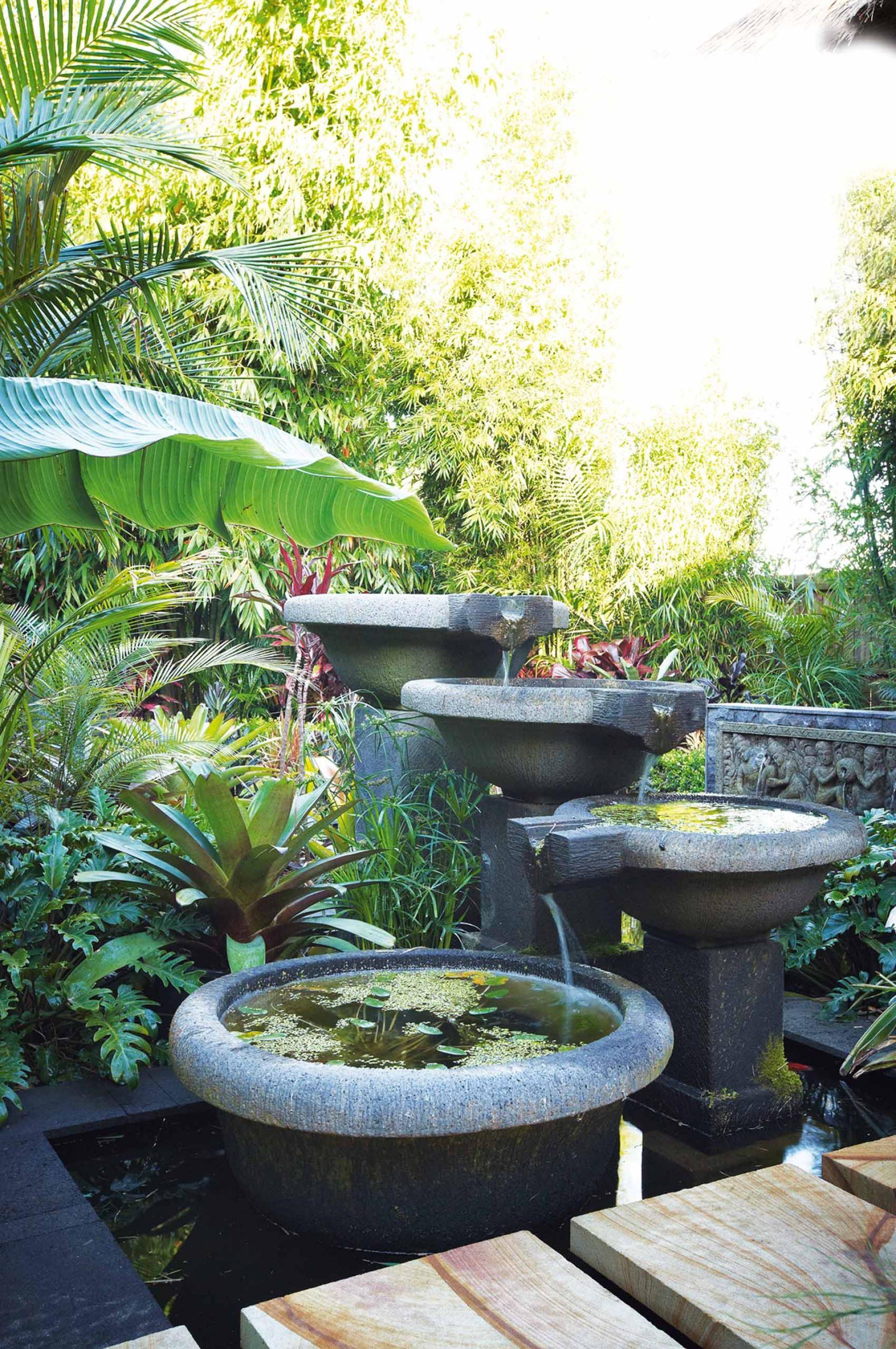 Tropical Rock Garden