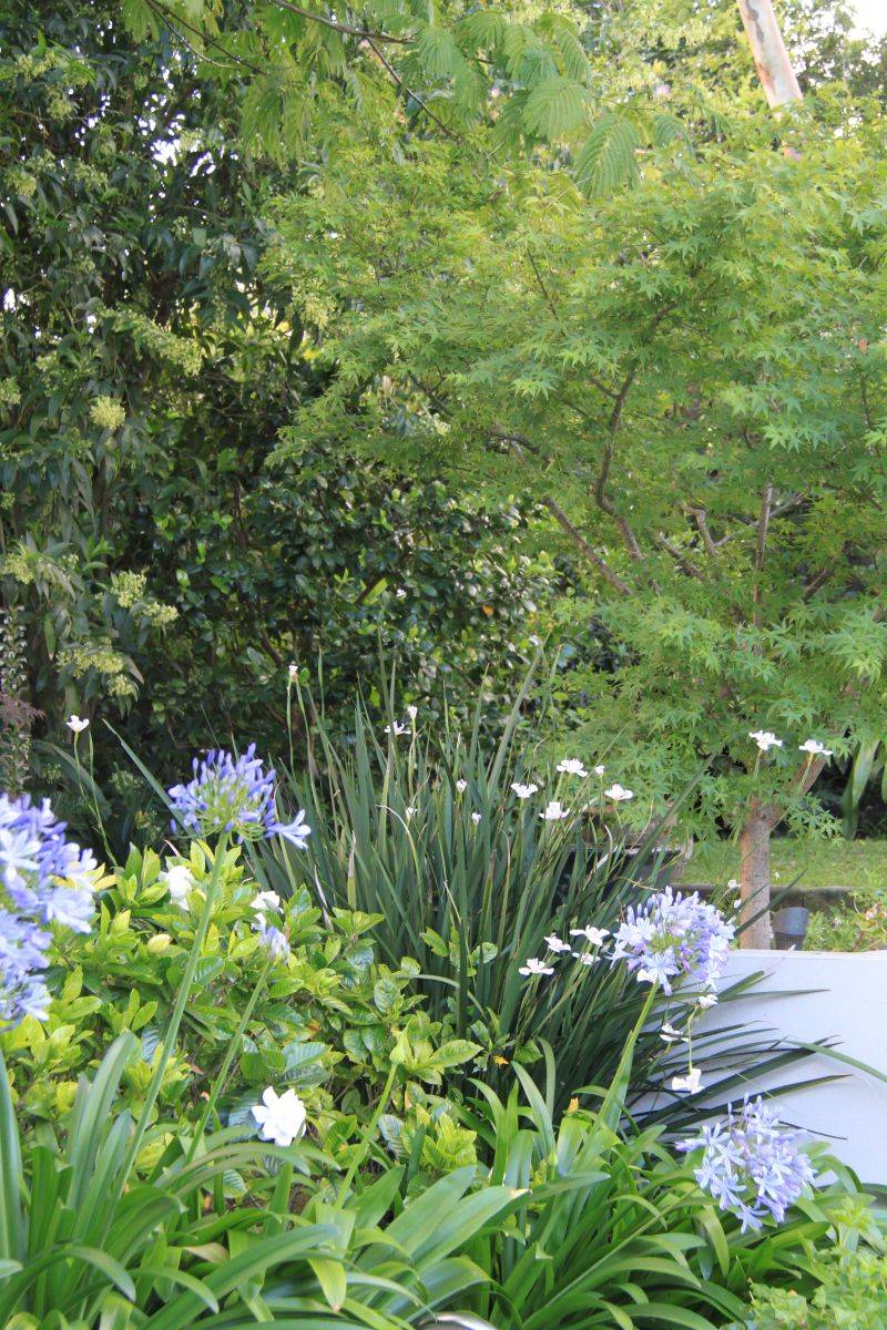 Fresh Garden Ideas