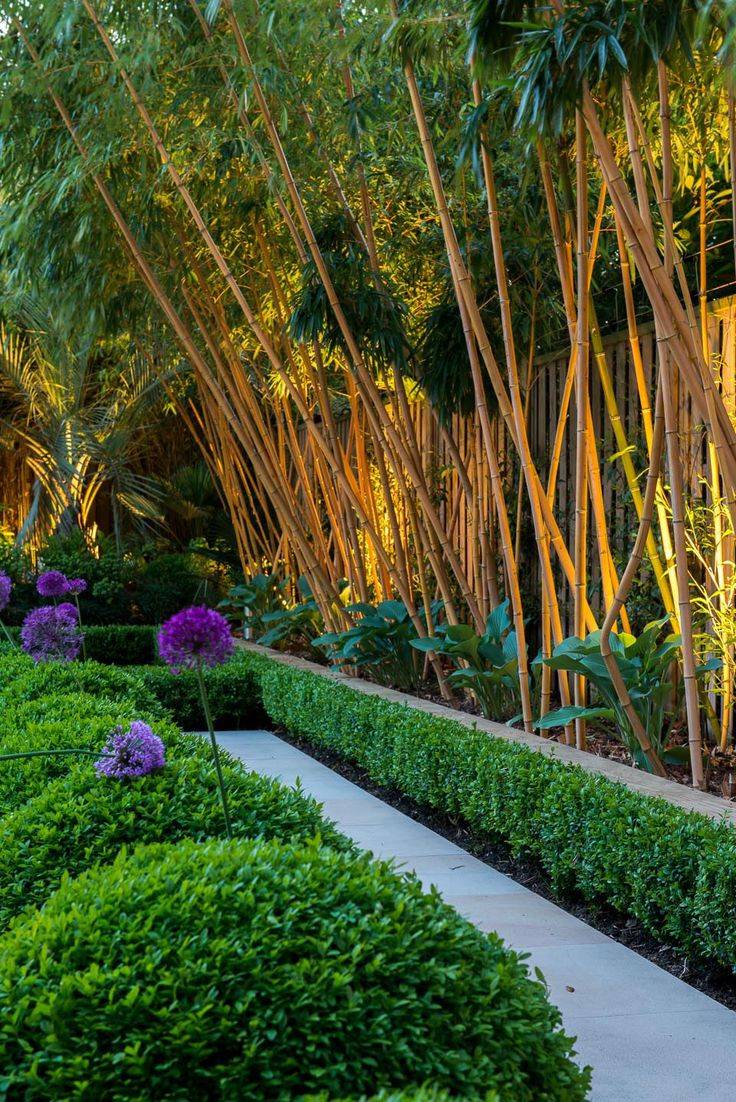 Tropical Garden Design
