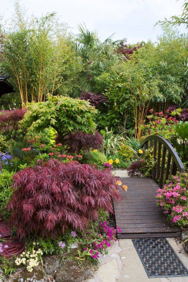 Outdoor Asian Garden