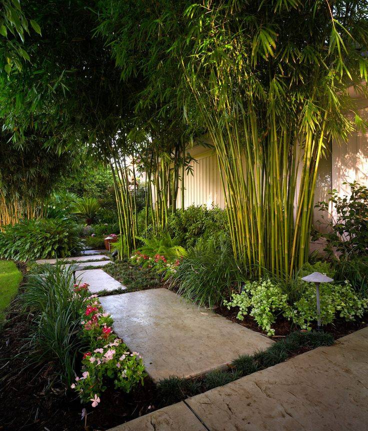 Tropical Flower Garden Wallpaper Garden And Landscape Designs