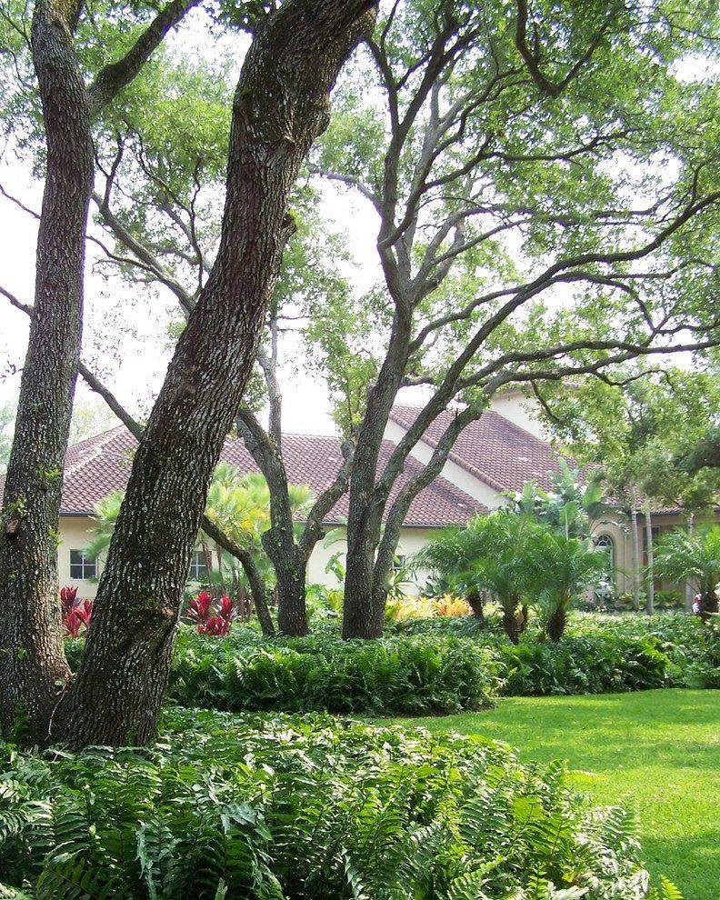 Tropical Garden Design Tropical Garden Design