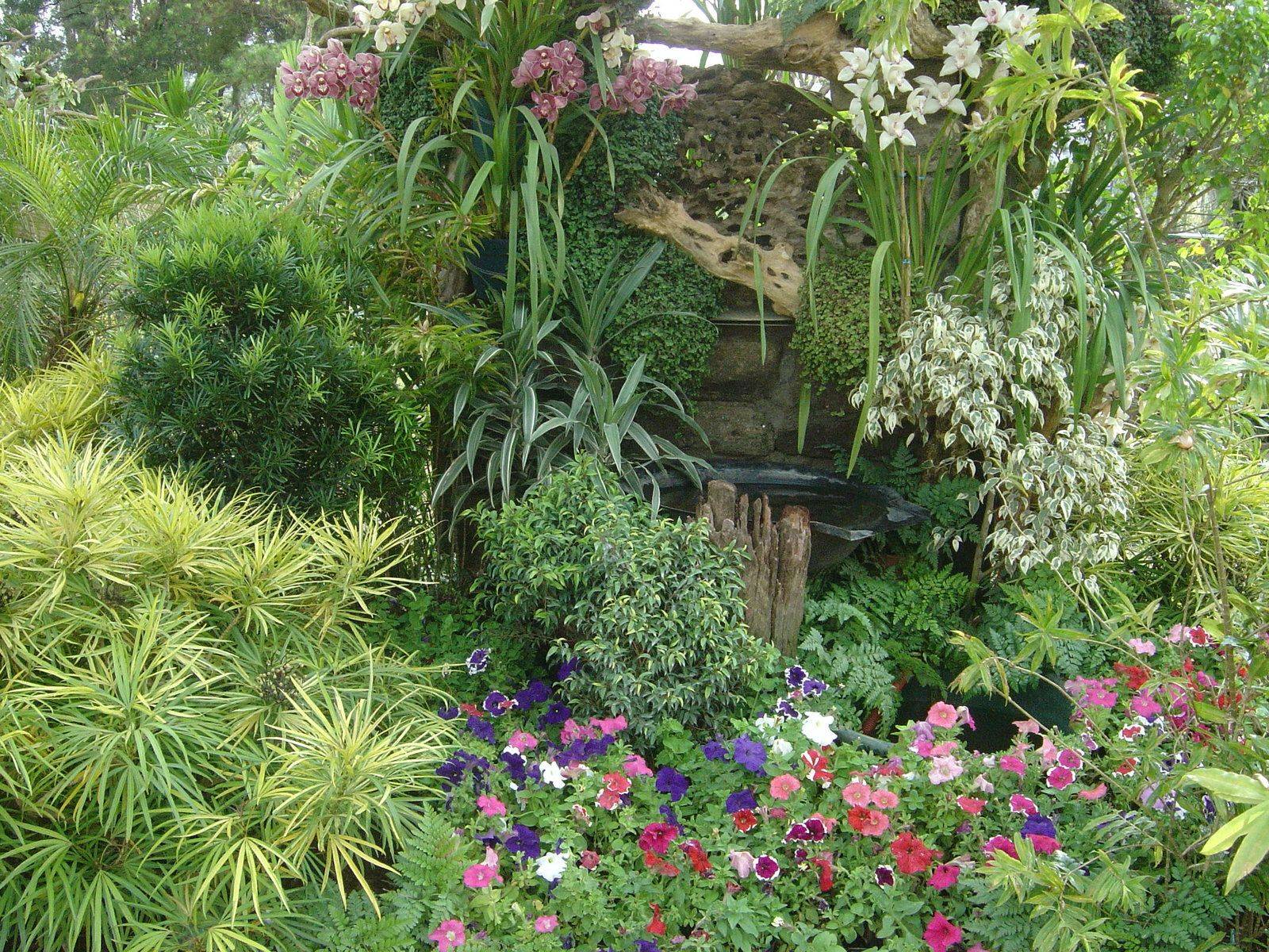 Tropicalgardenideasjungles In