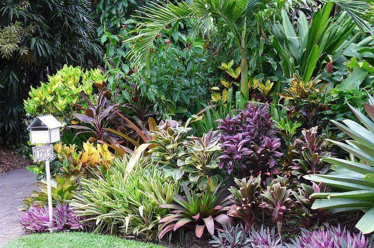 Warm Tropical Backyard Landscaping Ideas