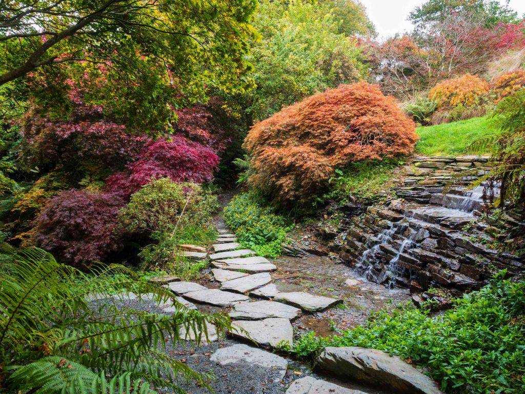 Waterfall Waterfall Japanese Maple Japan Garden