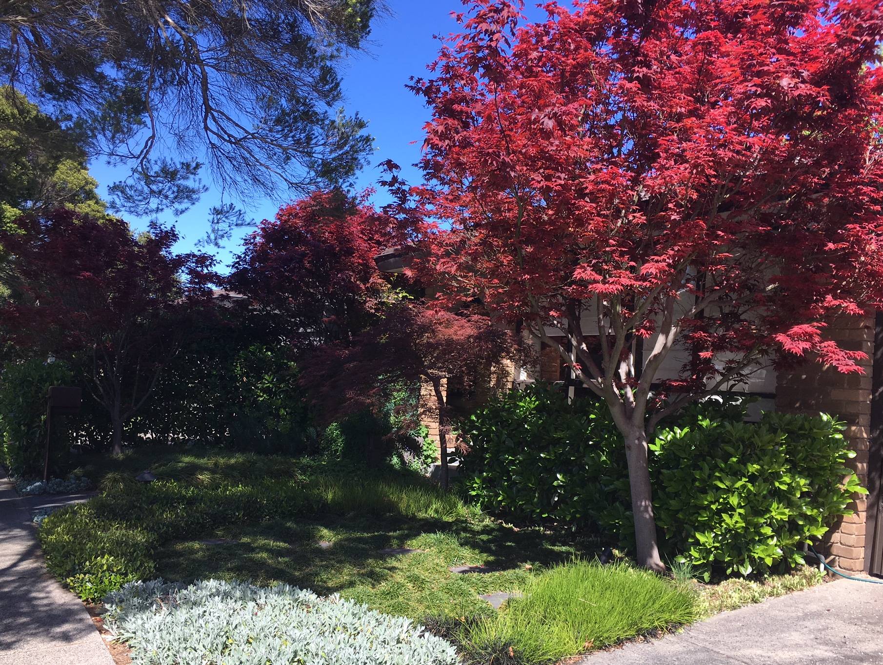 Our Orientaljapanese Style Garden