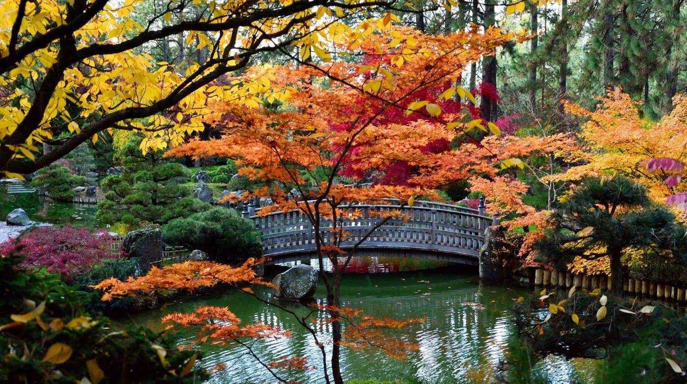 Back Yard Landscaping Ideas