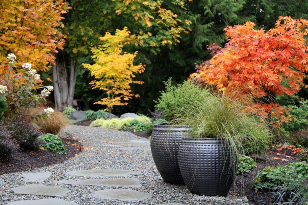 Back Yard Landscaping Ideas