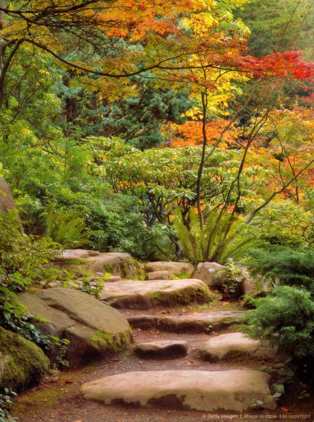 A Tidewater Gardener