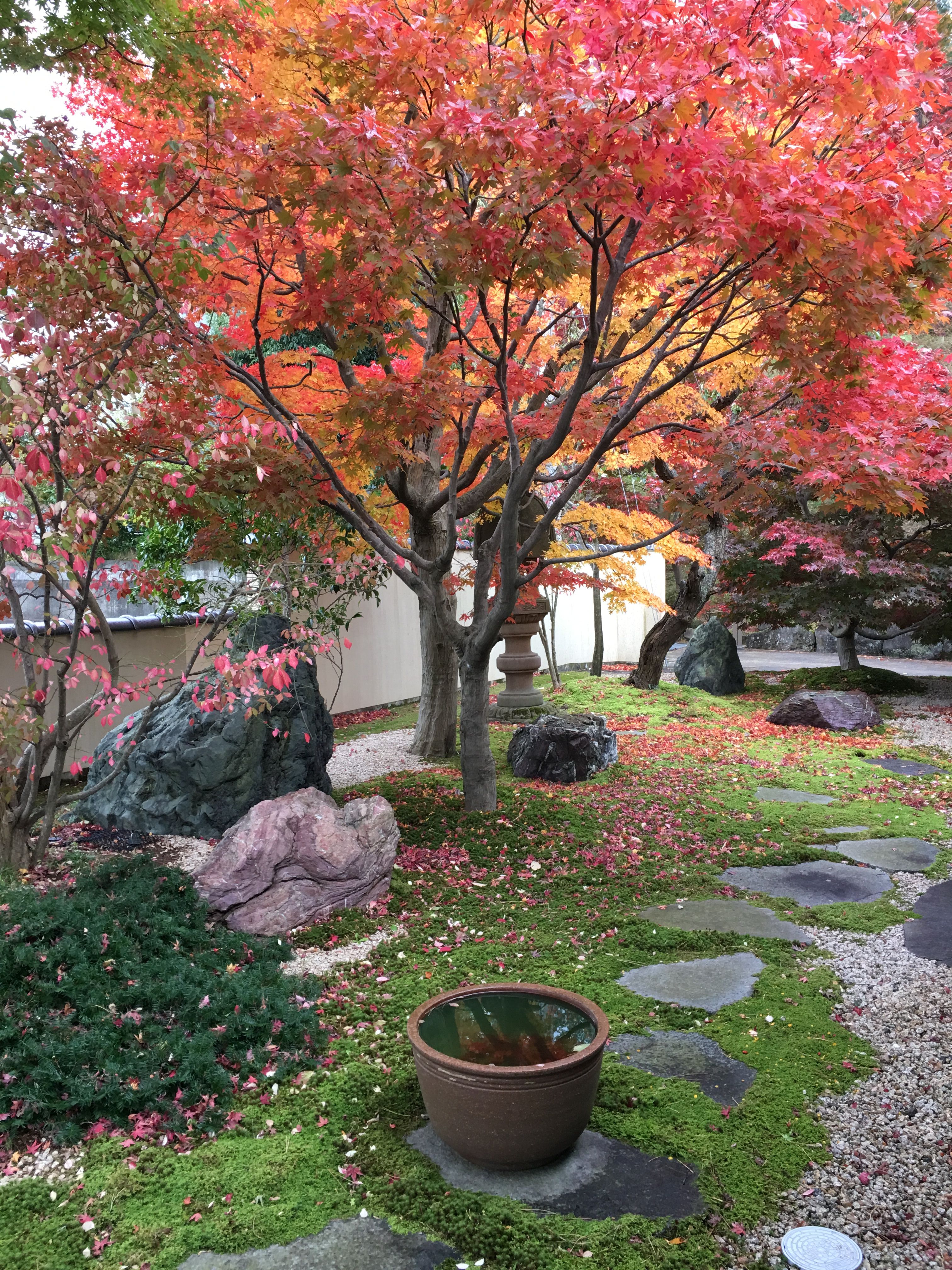 Japanese Garden Design Rules