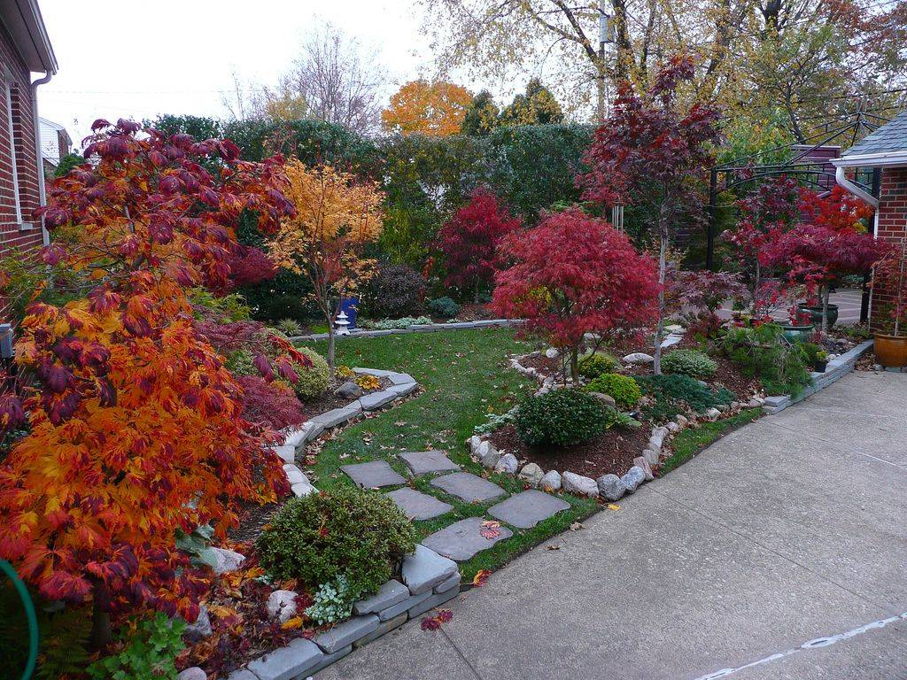 Creative Bonsai Trees Gardening Ideas