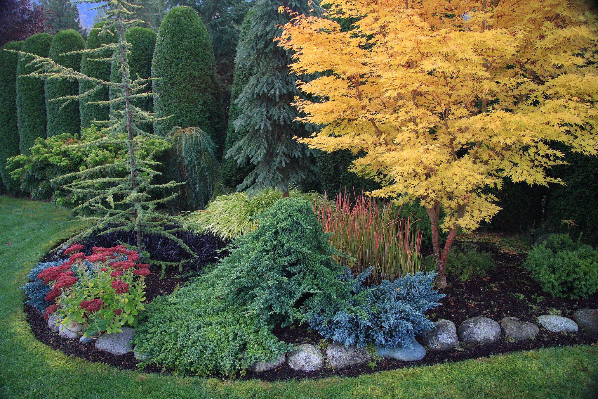 Landscape Design
