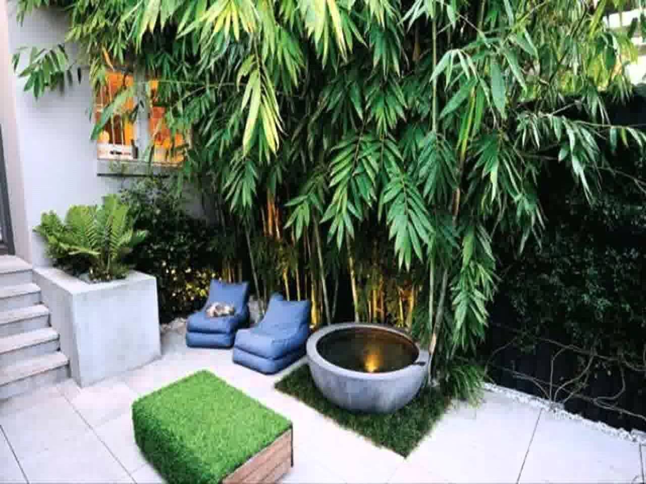 Small Backyard Gardens