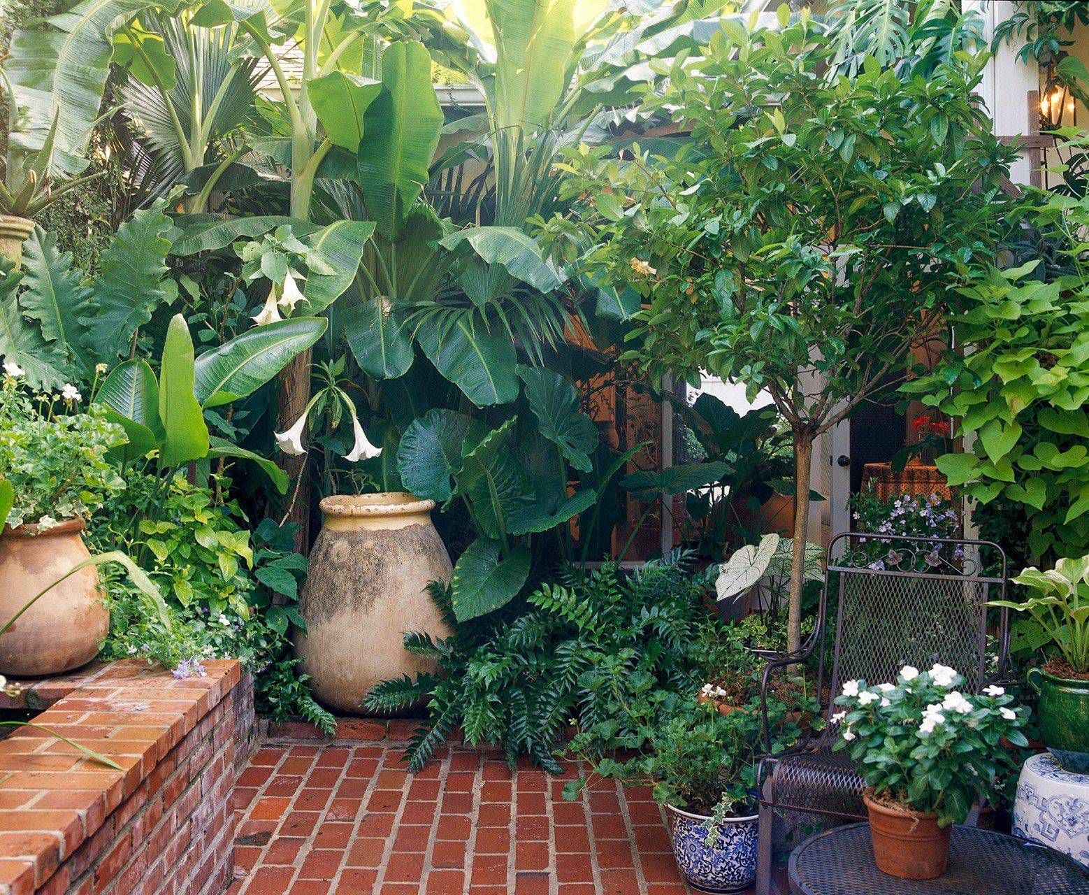 Beautiful Small Garden Design Ideas Crunchhome Tropical Garden