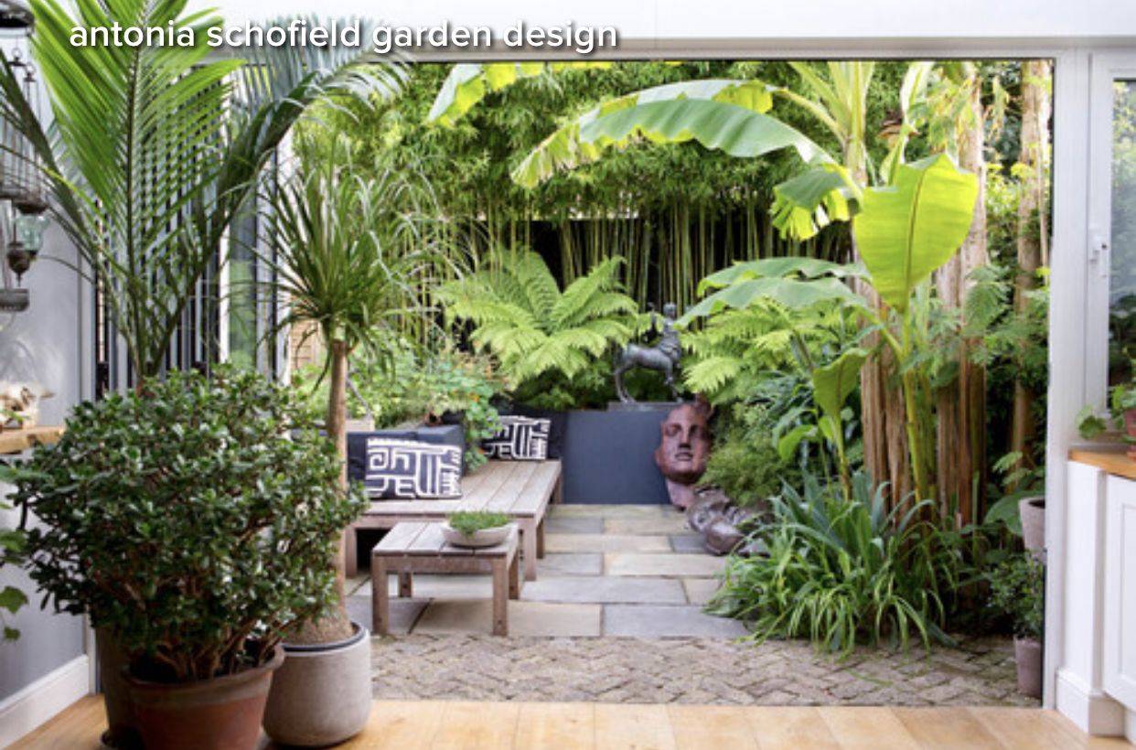 Small Tropical Backyard Ideas Simphome