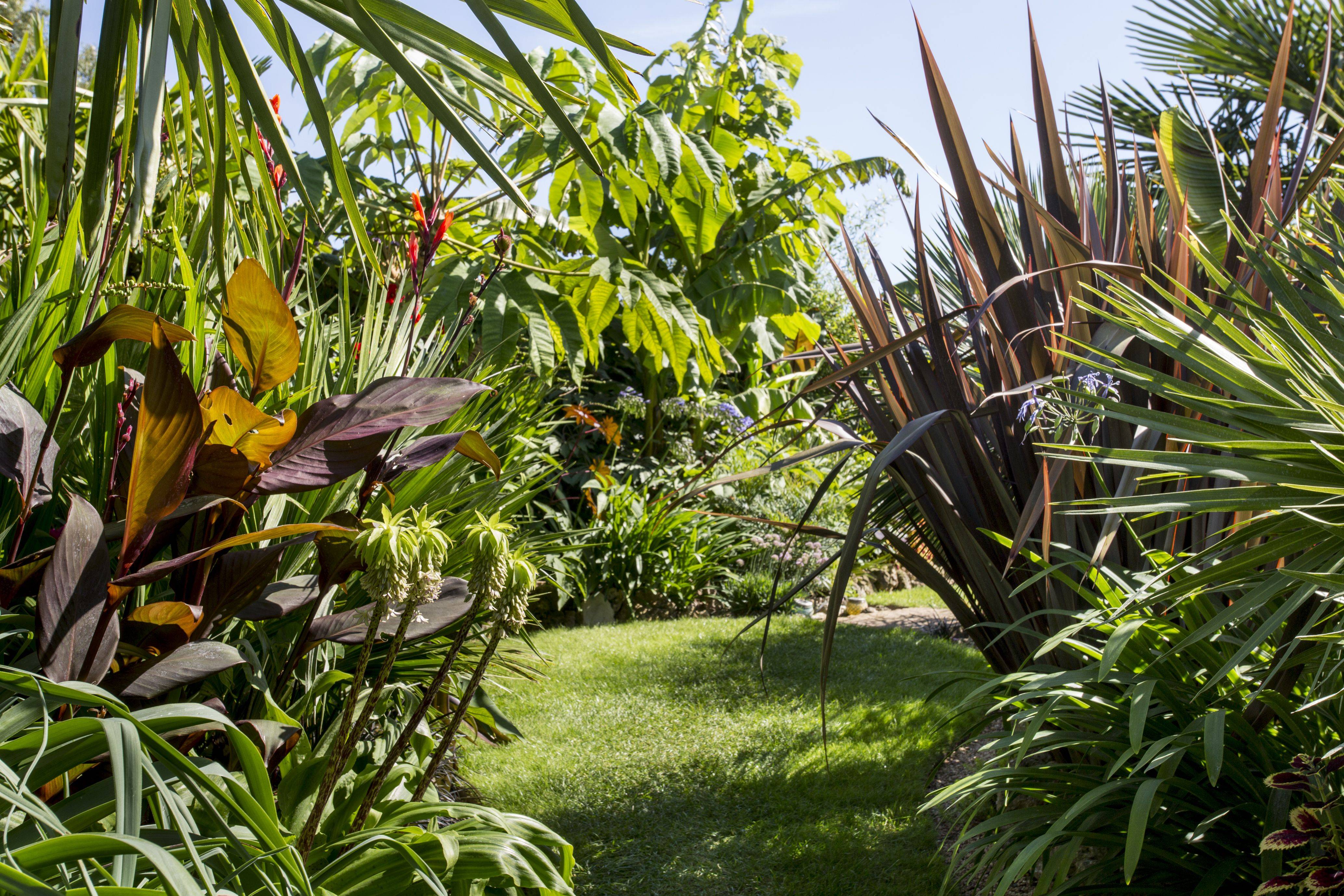 Most Popular Tropical Garden Ideas