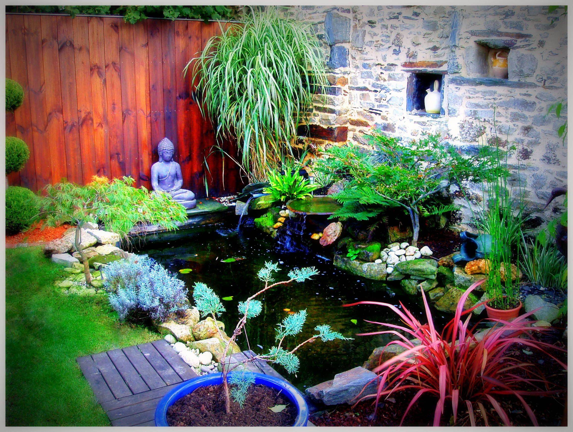 Magical Plant Garden Ideas