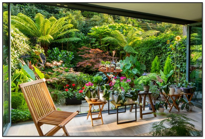 A Small Tropical Garden