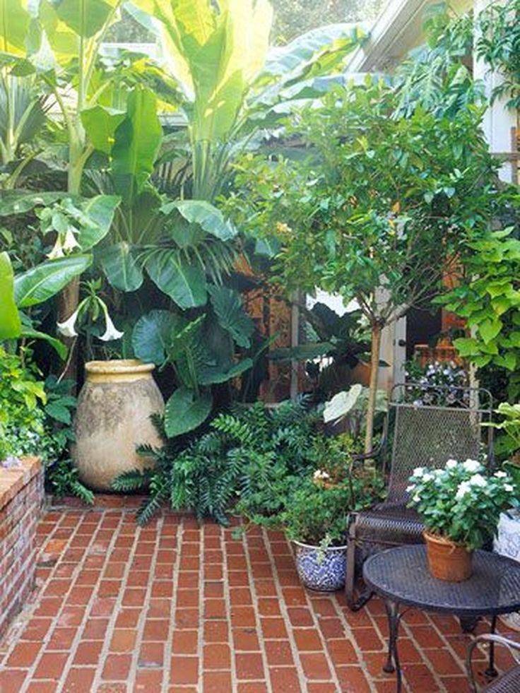 A Small Tropical Garden