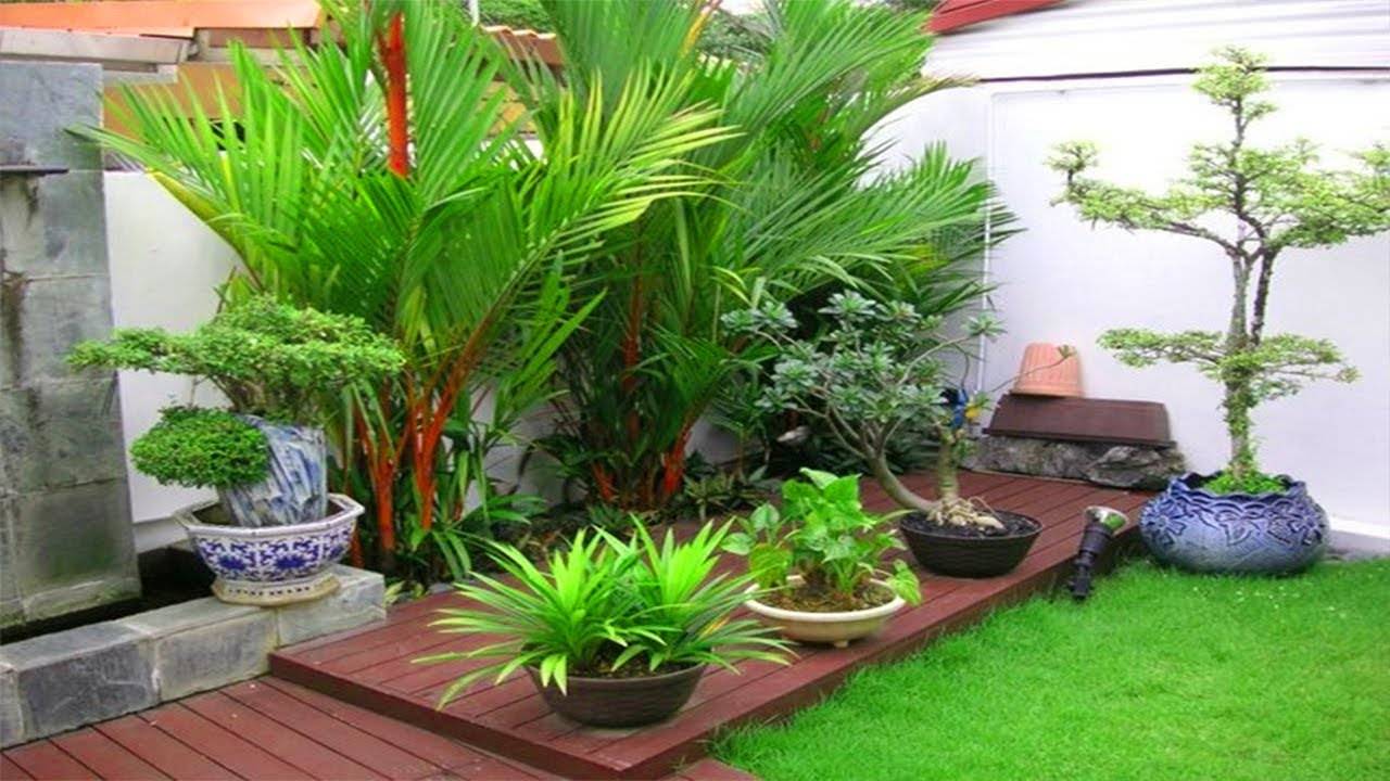 25 Small Space Small Tropical Garden Ideas You Cannot Miss SharonSable