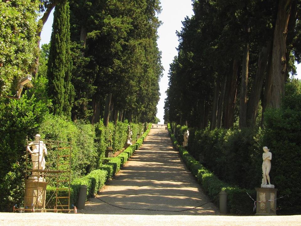 Florence Garden Hedges