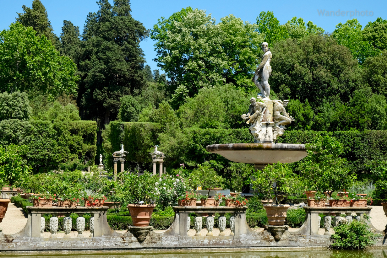 Boboli Rose Garden Florence