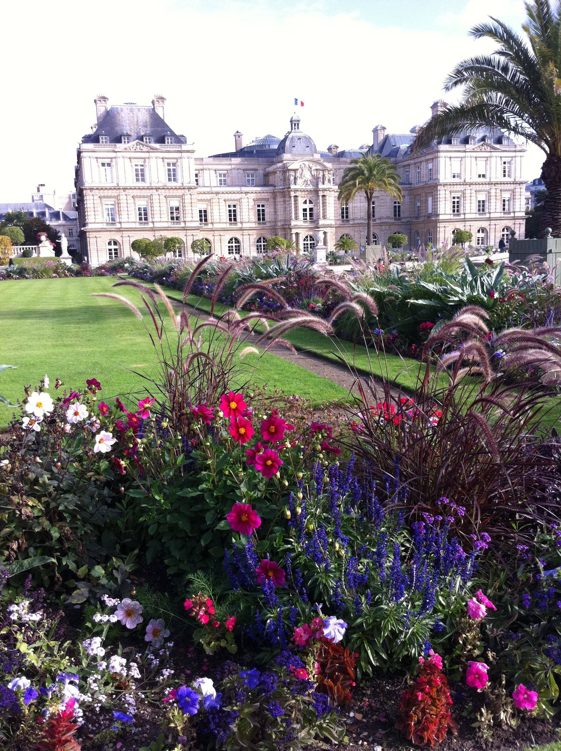 France Trip Ideas Tree Water Bridge River Botany Garden