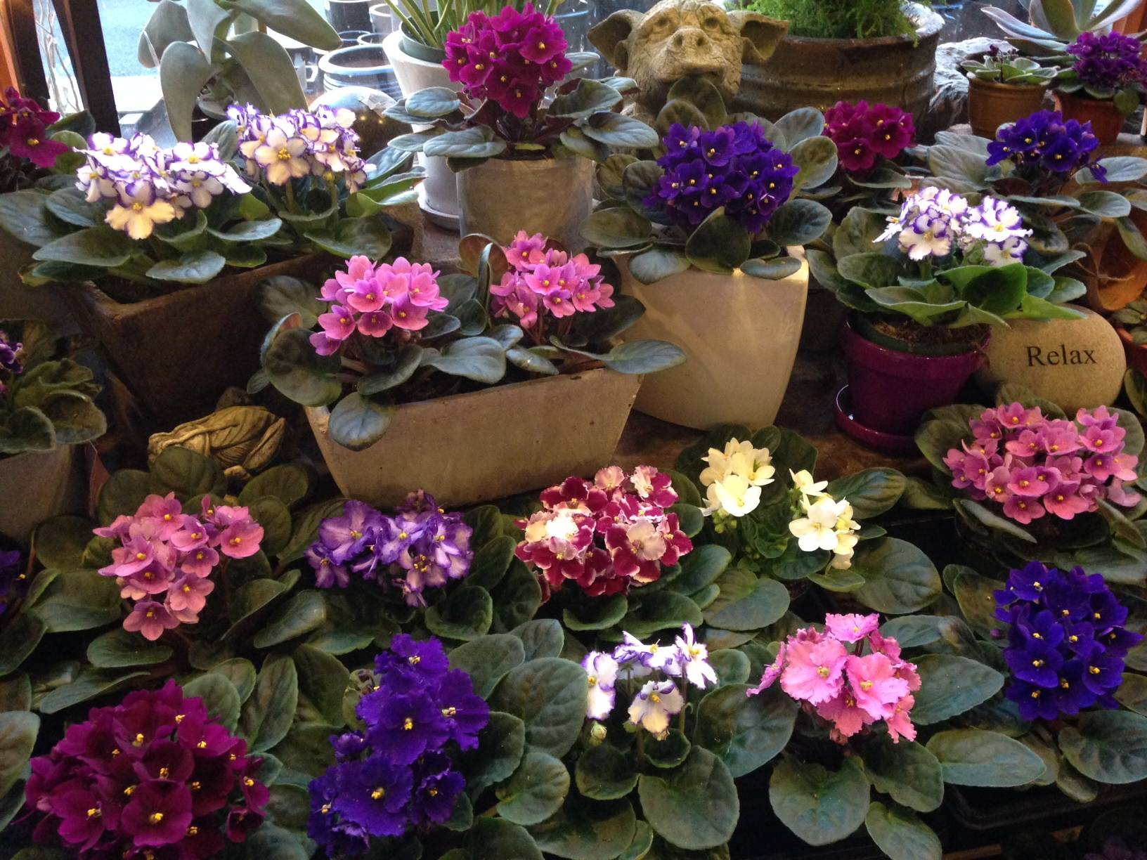 Landscape Inspiration