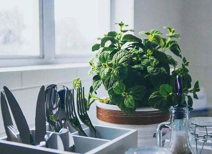 Classic French Garden Pots