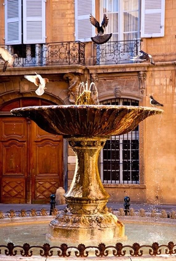 Sofias Provence