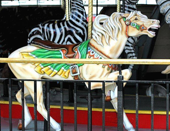 Paris Black And White Large Collection X Inches