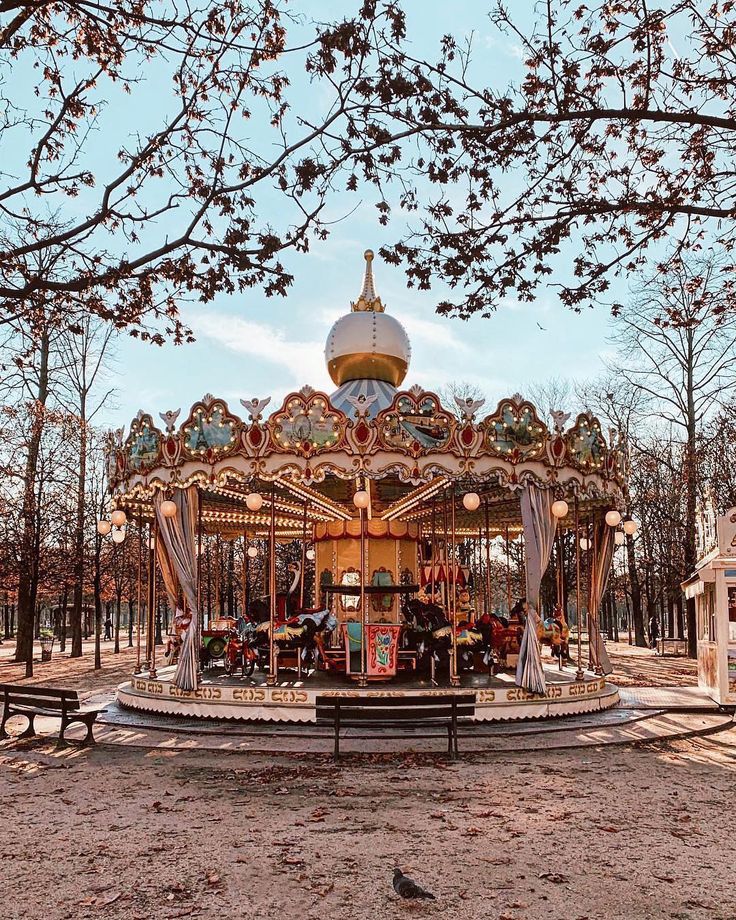 The Jardin Du Luxembourg