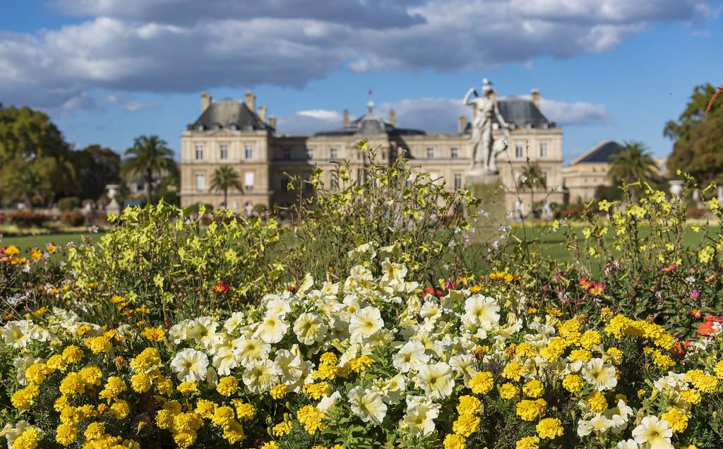 Another View Luxembourg Palace Gardens Paris