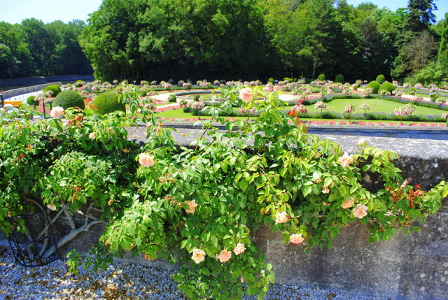 Catherine De Medicis Garden