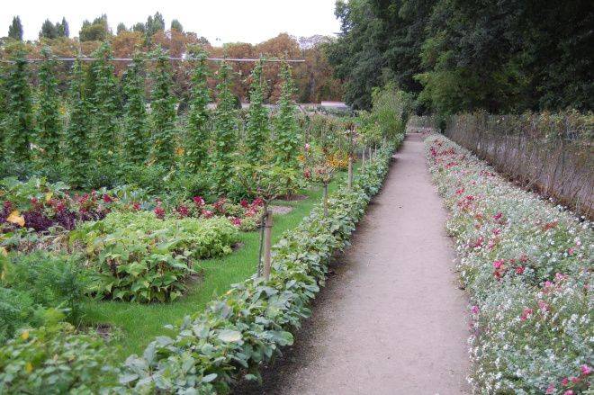 Catherine De Medicis Gardens Picture