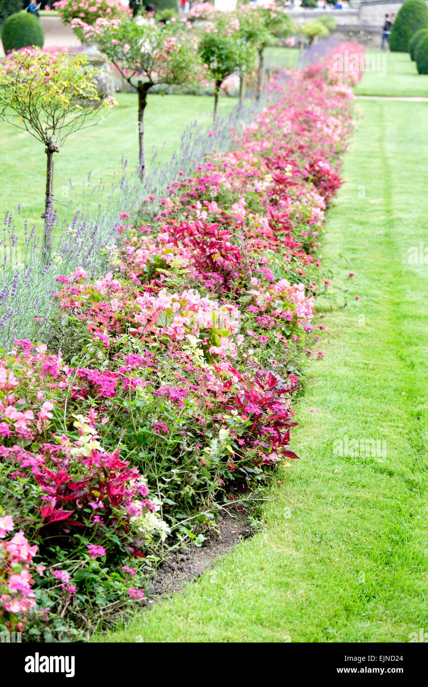 Le Jardin De Catherine De Mdicis Paysage France
