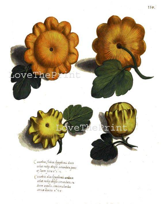 Vegetable Faces Funniestfivecom Fruit Art