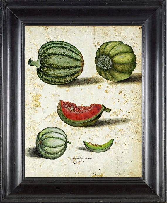 Italian Vegetable Garden Aldrovandi Art Print