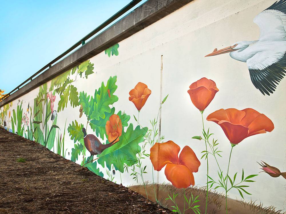 Exterior Wall Murals Residential And Commercial Murals Mural Album