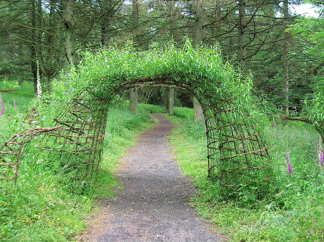 Best Garden Arches Images