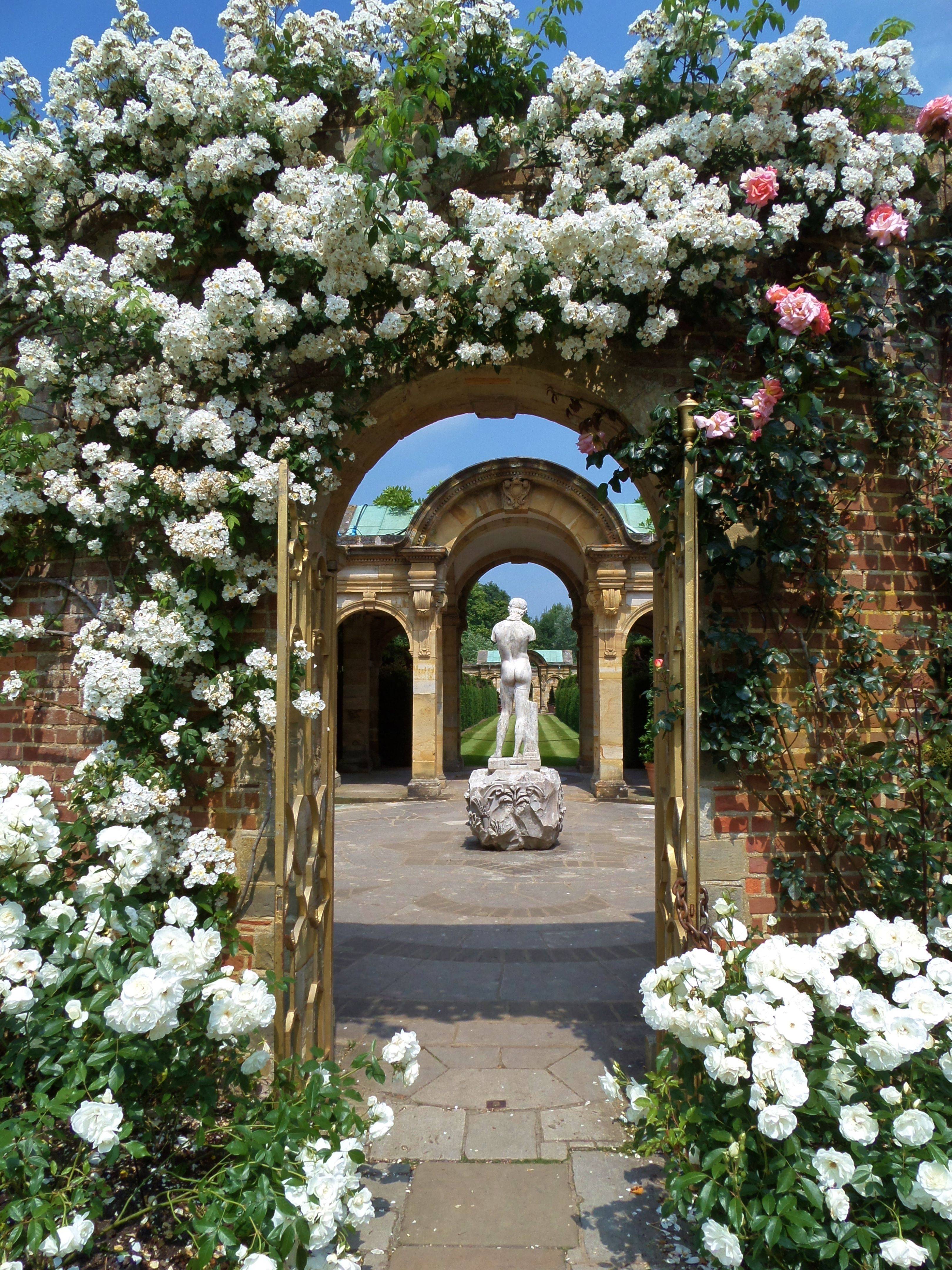 My Favourite Gardens