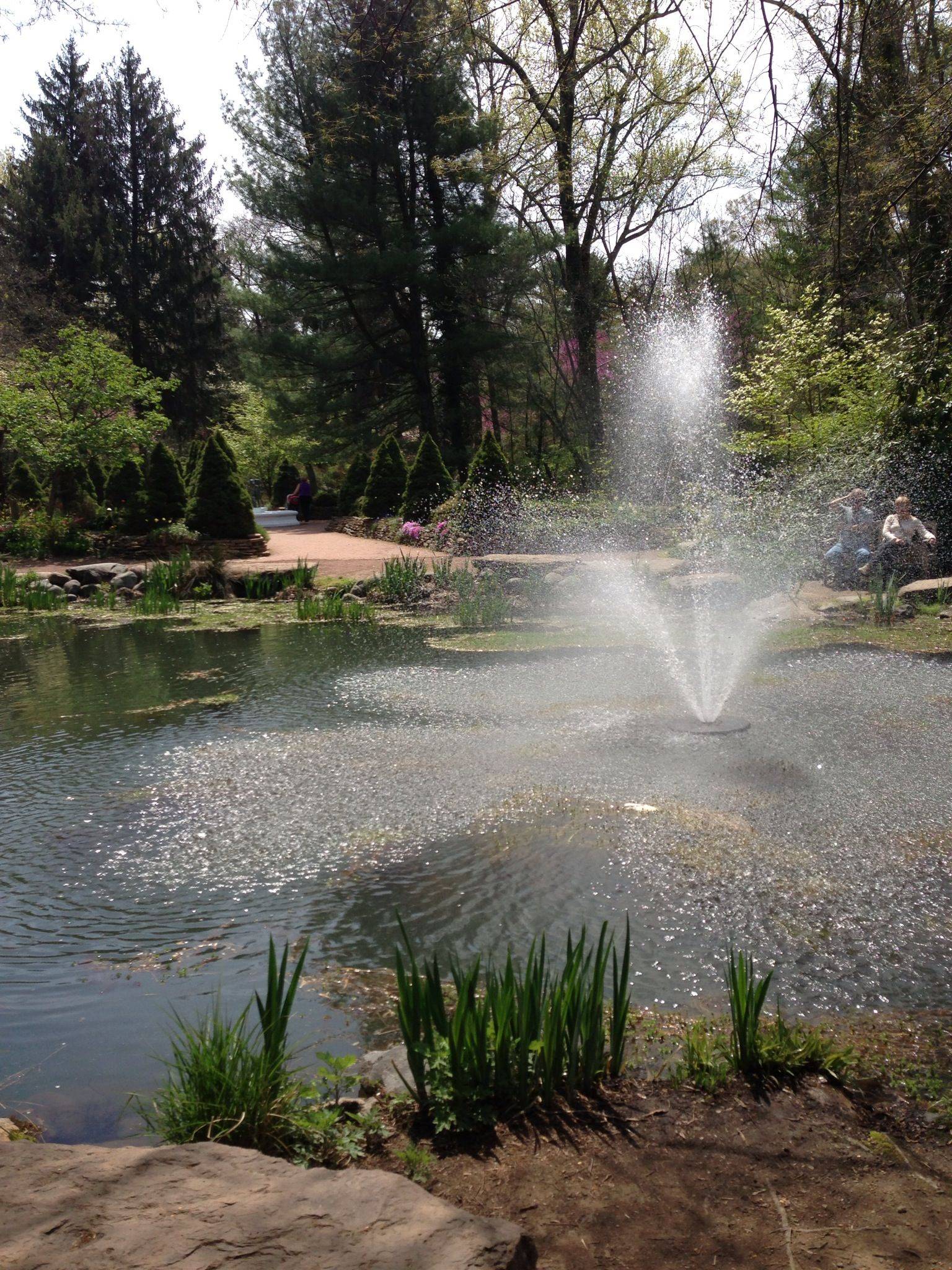 Sayen Gardens Hamilton Township